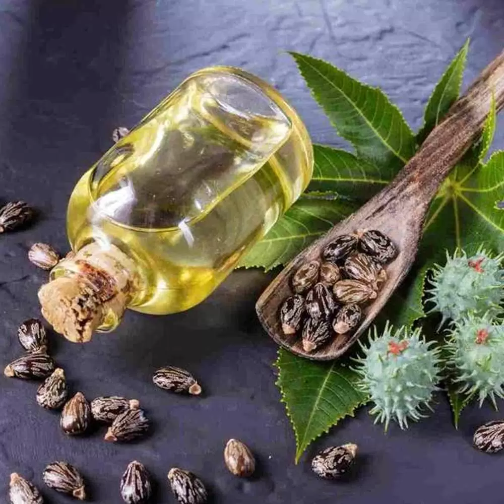 Castor Oil And Its Benefits For Hair 2025